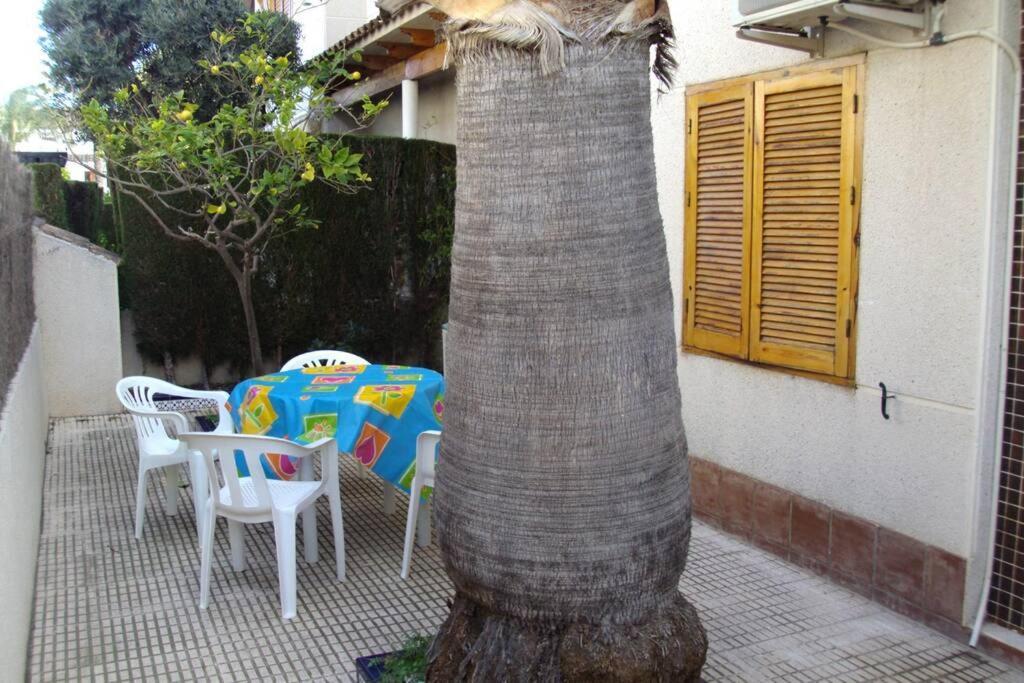 La Casa De La Palmera Apartment Torrevieja Bagian luar foto