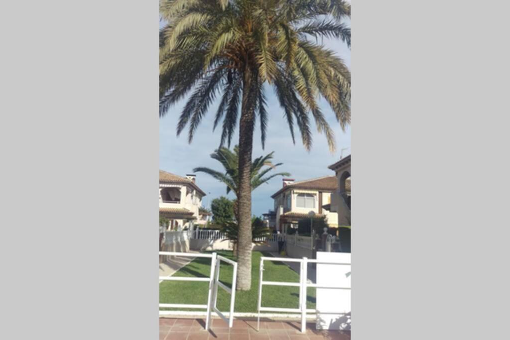 La Casa De La Palmera Apartment Torrevieja Bagian luar foto