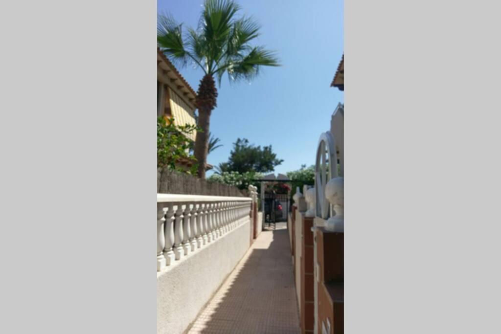 La Casa De La Palmera Apartment Torrevieja Bagian luar foto
